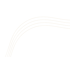 Worldwide Marketing Pro